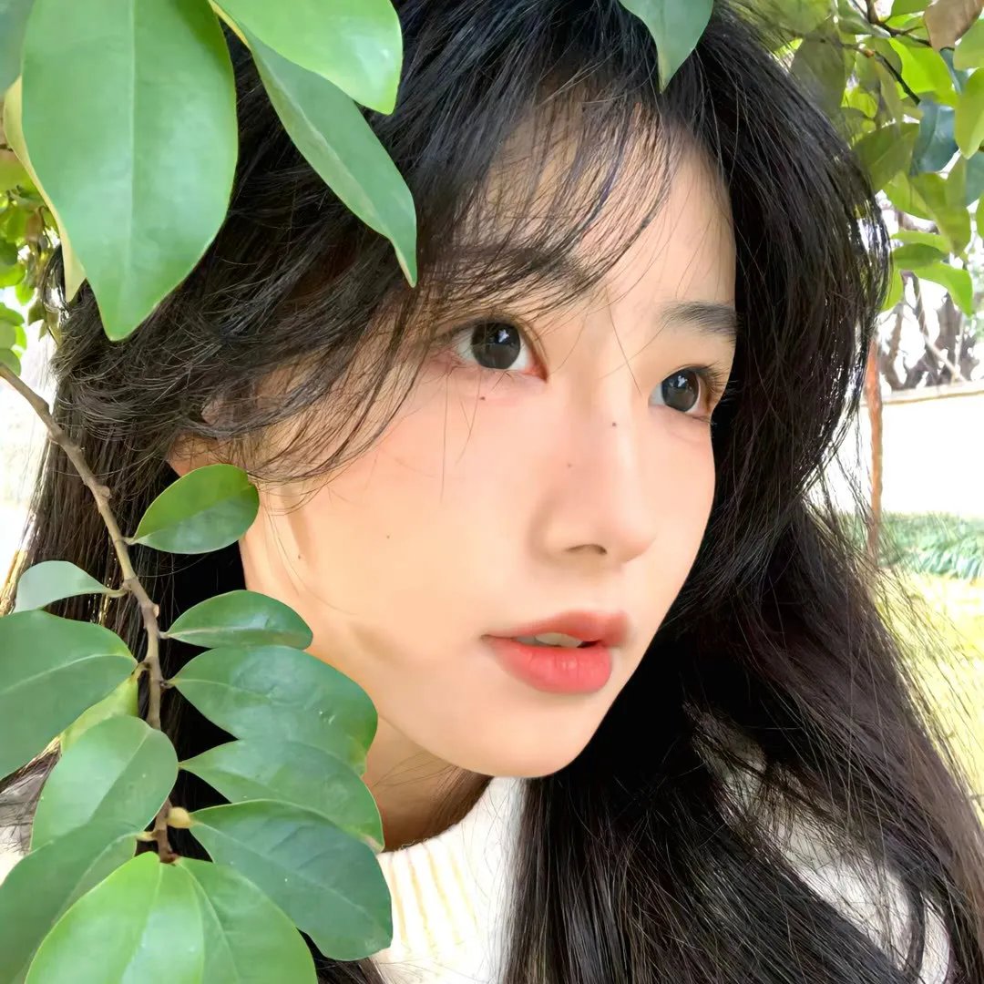 远方的狗吠声